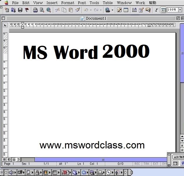 What is MS Word 2000 Edition