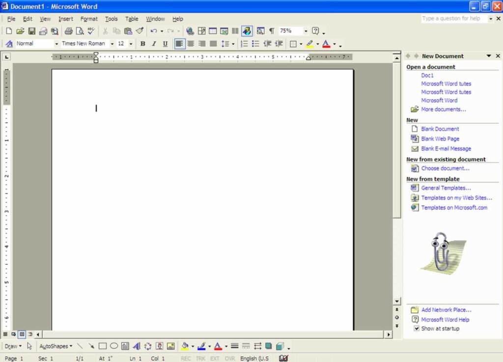 What is MS Word 2002 Edition