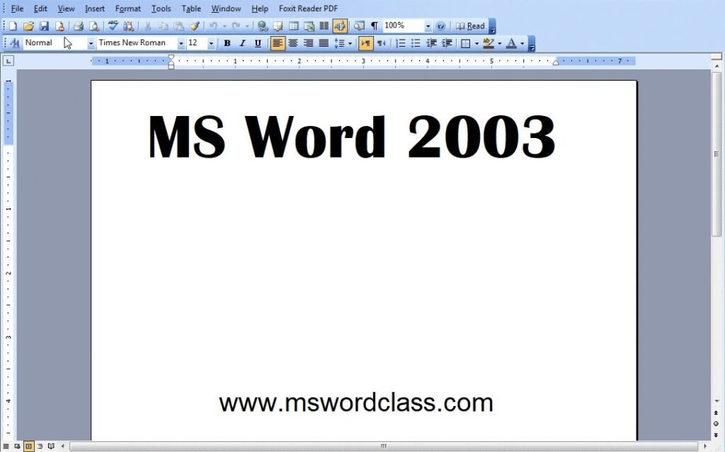 What is MS Word 2003 Edition